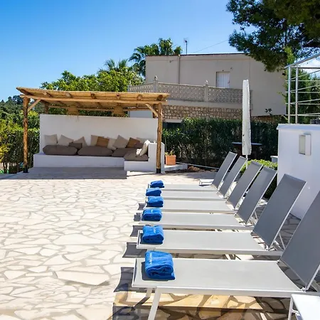 Tortuga Denia